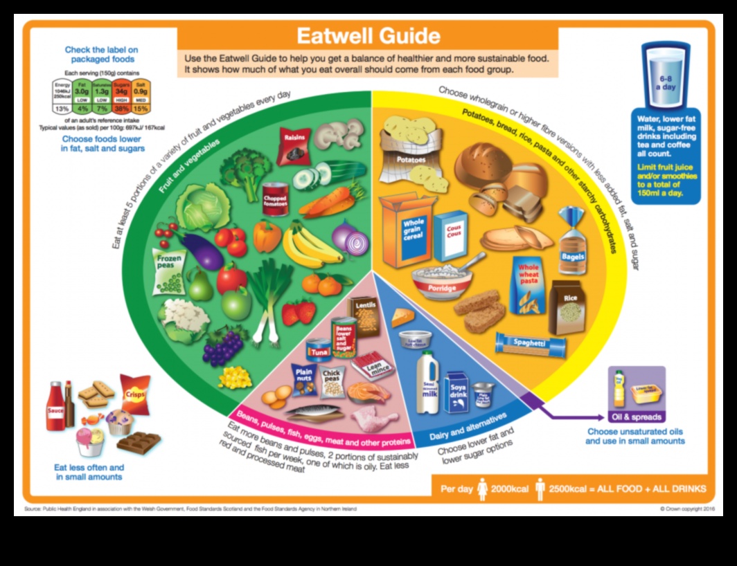 صياغة طبق غني بالمغذيات: أساسيات النظام الغذائي على المدى الطويل