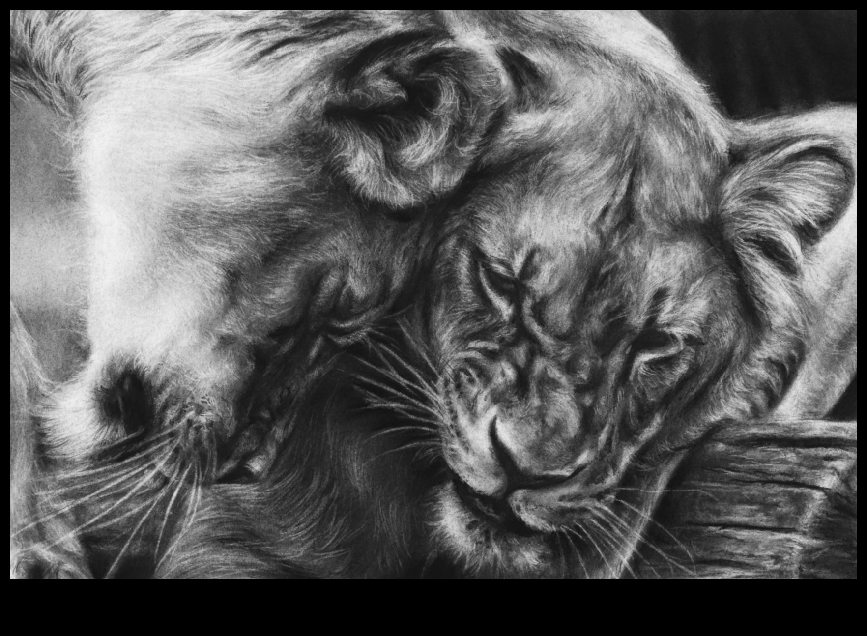 ورشة عمل الواقعية الفحمية: تقنيات الفن الاحترافي