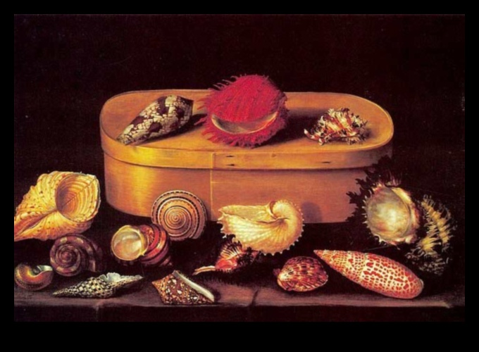 الأشياء في الراحة: العالم السلمي للحياة الساكنة