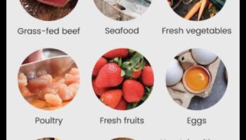 دور المكملات الغذائية في تعزيز نمط الحياة في العصر الحجري القديم