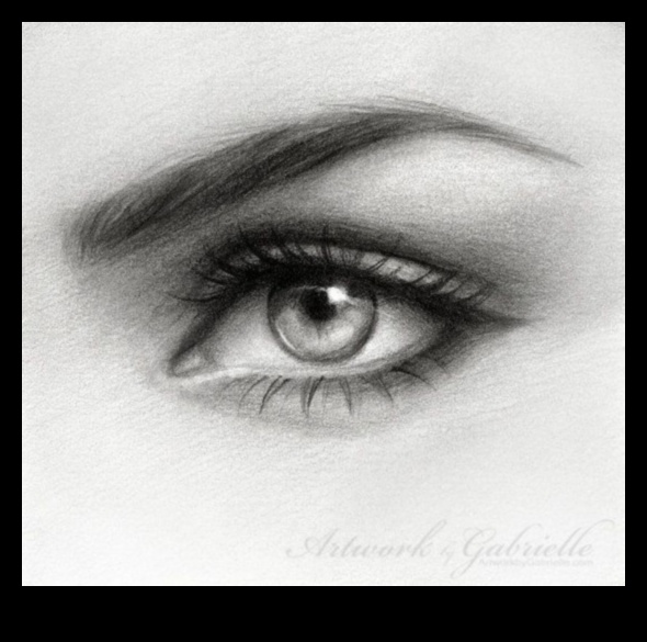 ورشة عمل الرسم بالقلم الرصاص: استكشاف تقنيات الجرافيت المختلفة