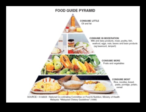 اللبنات الأساسية: العناصر الغذائية الأساسية في نظام غذائي متوازن