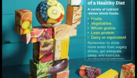 اللبنات الأساسية: العناصر الغذائية الأساسية في نظام غذائي متوازن