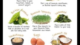 النظام الغذائي في العصر الحجري القديم والتوازن الهرموني: نظرة شاملة