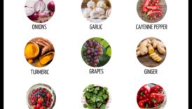 العلاقة بين باليو والحساسية الموسمية