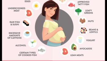 صياغة وجبات عالية البروتين لحمل نباتي