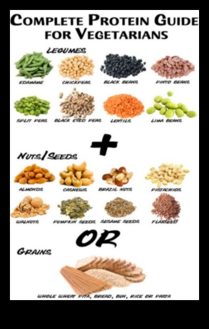 البروتين يجمع بين الخرافات والحقائق في الأنظمة الغذائية النباتية