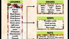 البروتين يجمع بين الخرافات والحقائق في الأنظمة الغذائية النباتية