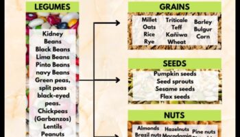البروتين يجمع بين الخرافات والحقائق في الأنظمة الغذائية النباتية