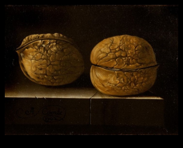 التقاط الصمت: الحياة الساكنة في الواقعية التفصيلية